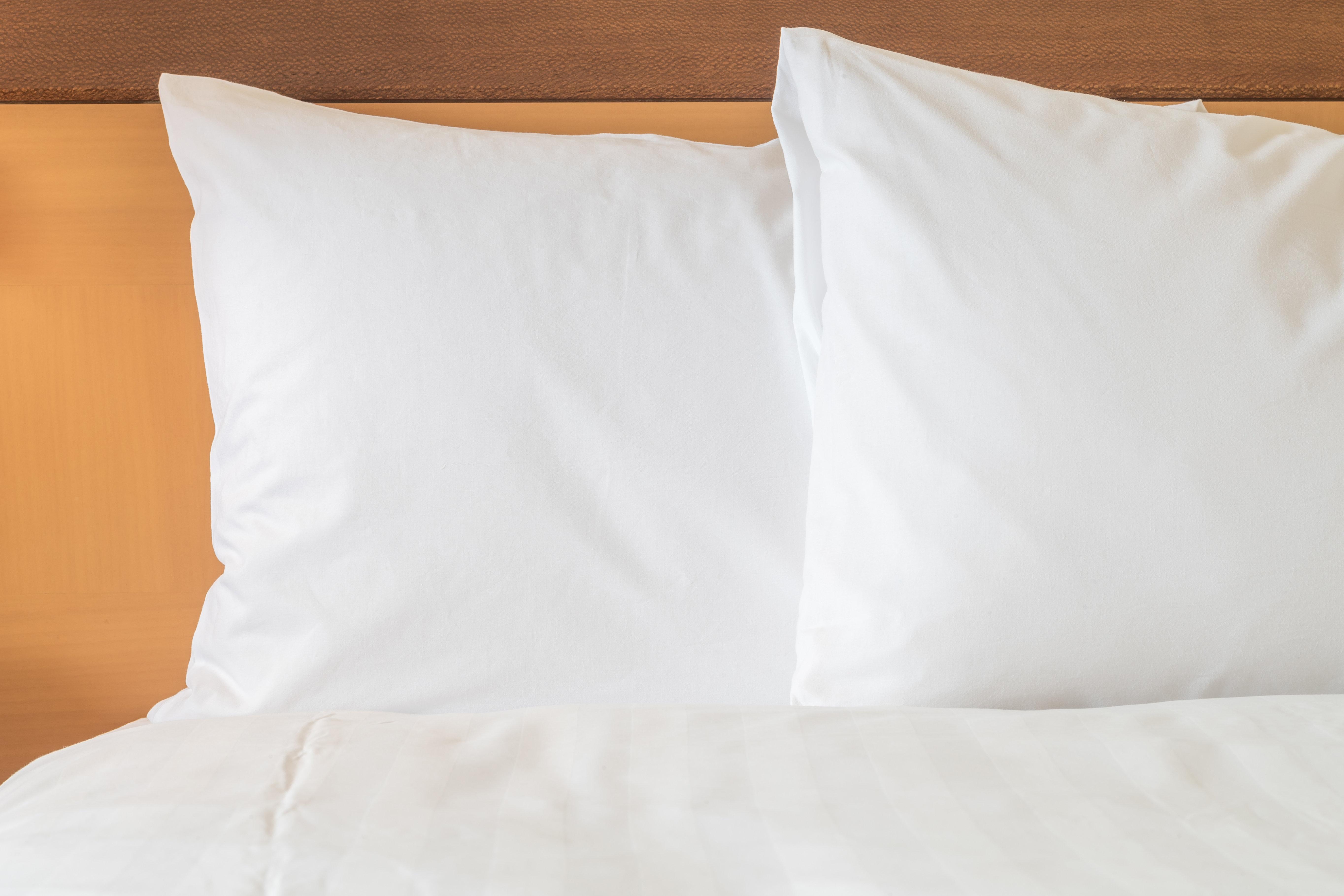 Holiday Inn Tampa Westshore - Airport Area By Ihg Extérieur photo